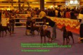 /album/exposiciones/expo-madrid-2013-010-jpg/